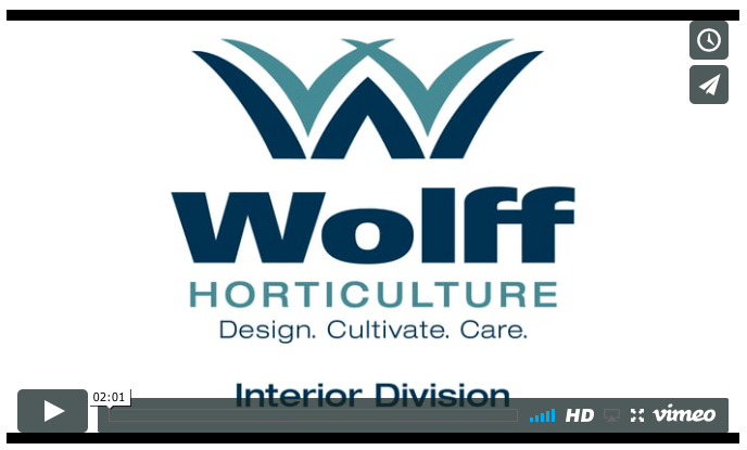 Wolff Horticulture - Interior Division - VIDEO